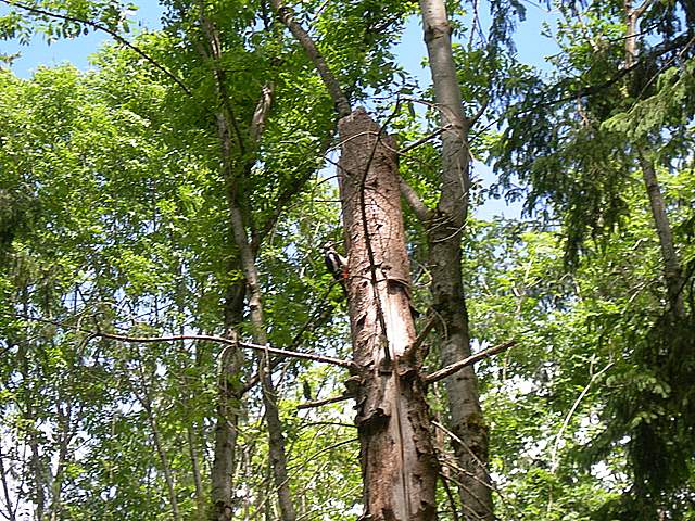 Uscita domenicale...